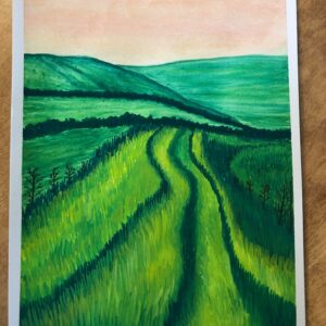 Grasslands