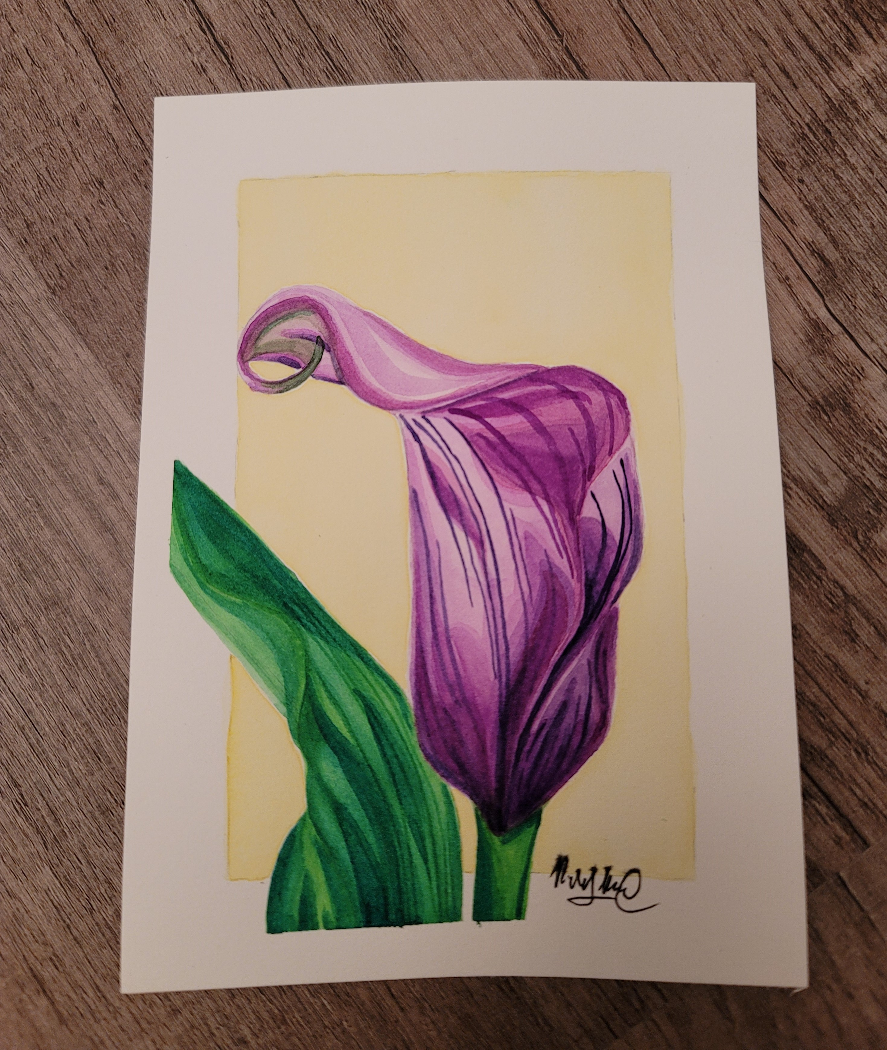Calla Lily (Day 19)