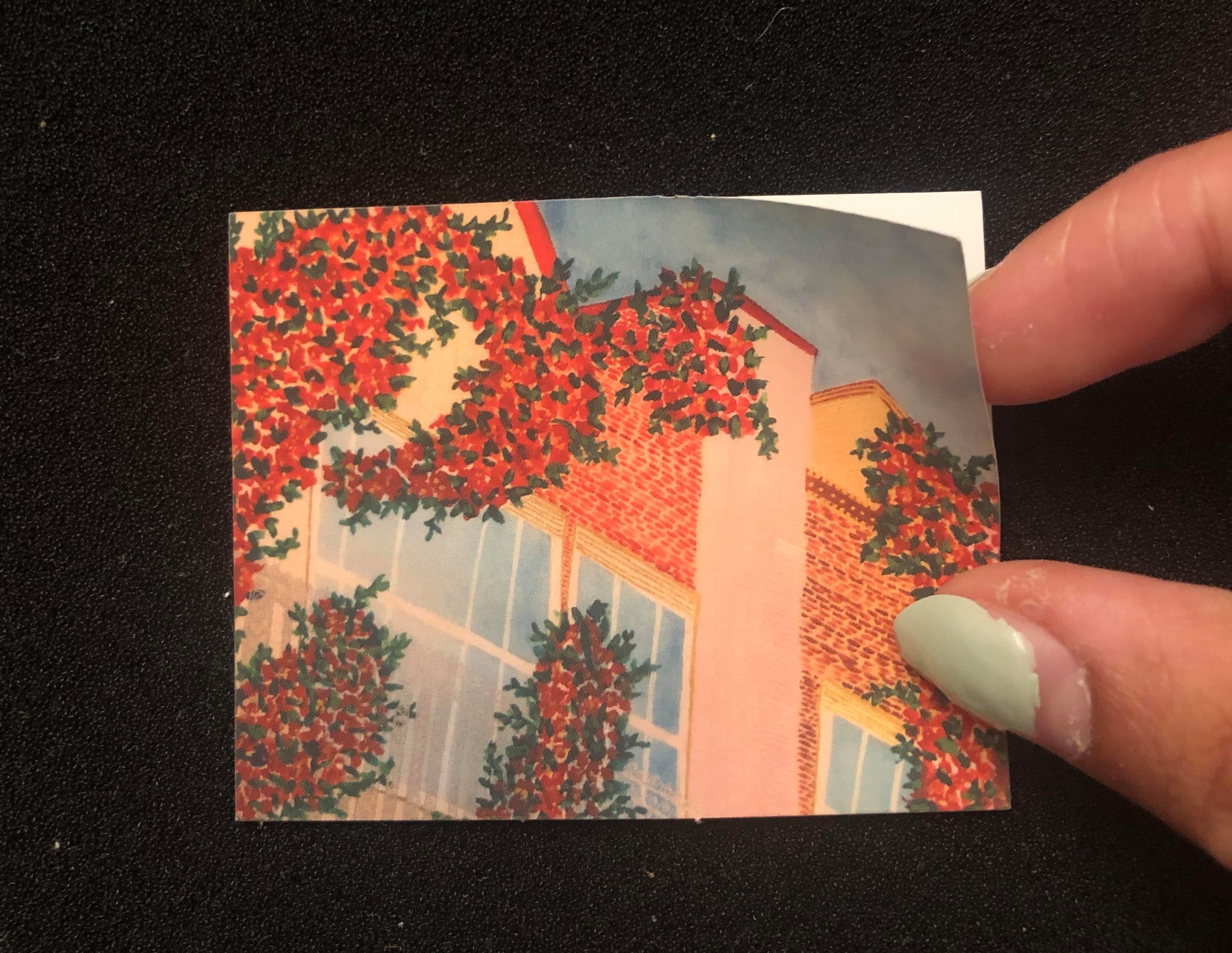 From Every Angle Sticker