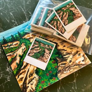 Cadillac Mountain Polaroid Sticker